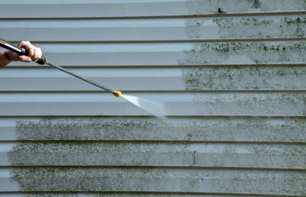 Best Exterior Home Cleaning  in Champlin, MN